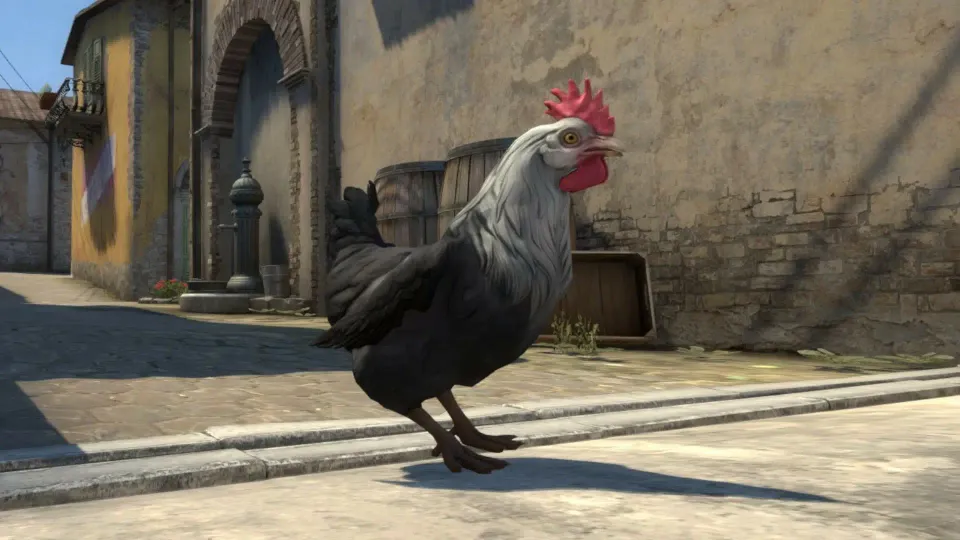 Vazamento indica que Counter-Strike 2 pode receber galinhas como pets